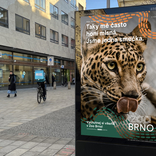 Jsme jedna smečka. Brněnská zoo představila novou vizuální identitu a nový slogan